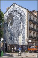 la courbe de monkey bird_